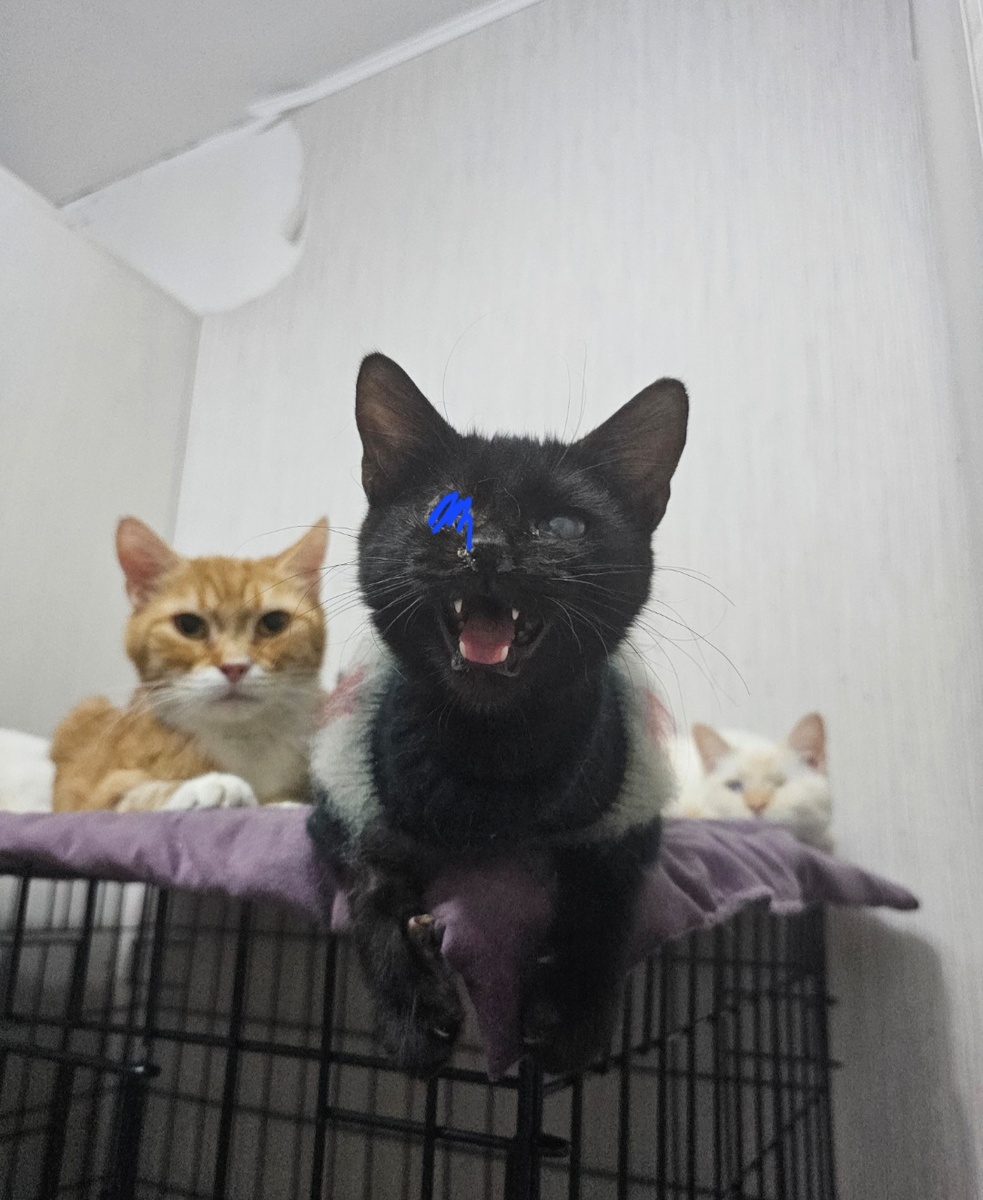 Фото автора. Евушка.