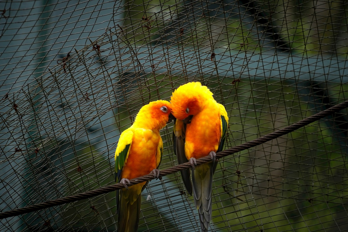 Photo by Irfan Syahmi