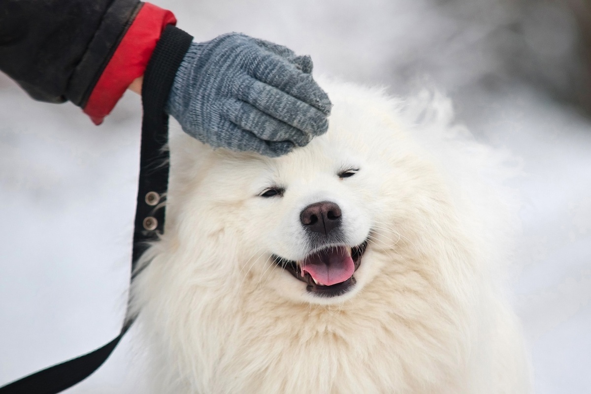  -------> можно листать