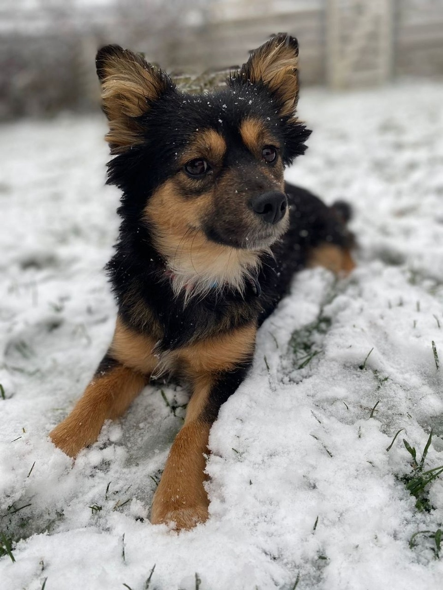 Можно листать ------->