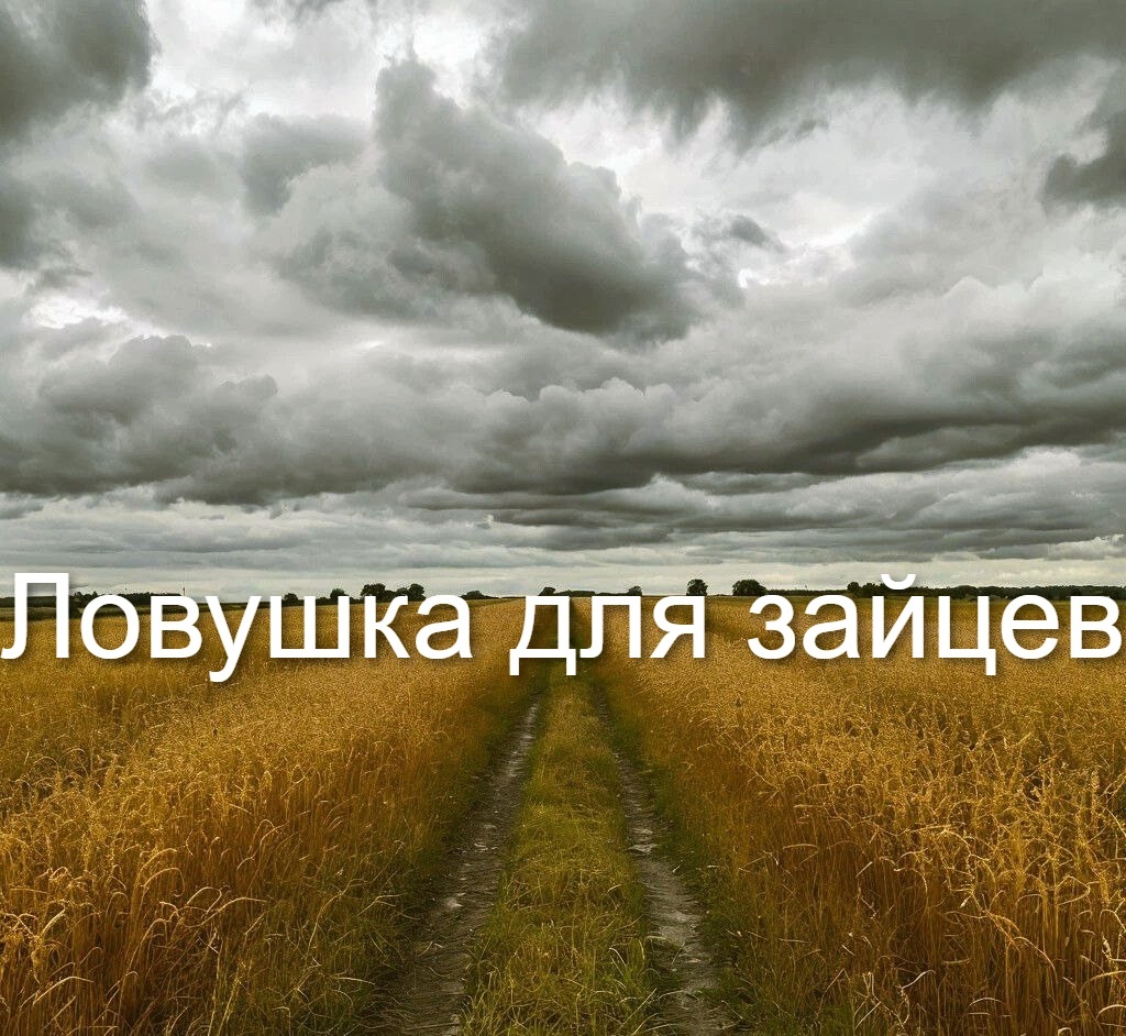 Изображение сгенерировано нейросетью Шедеврум