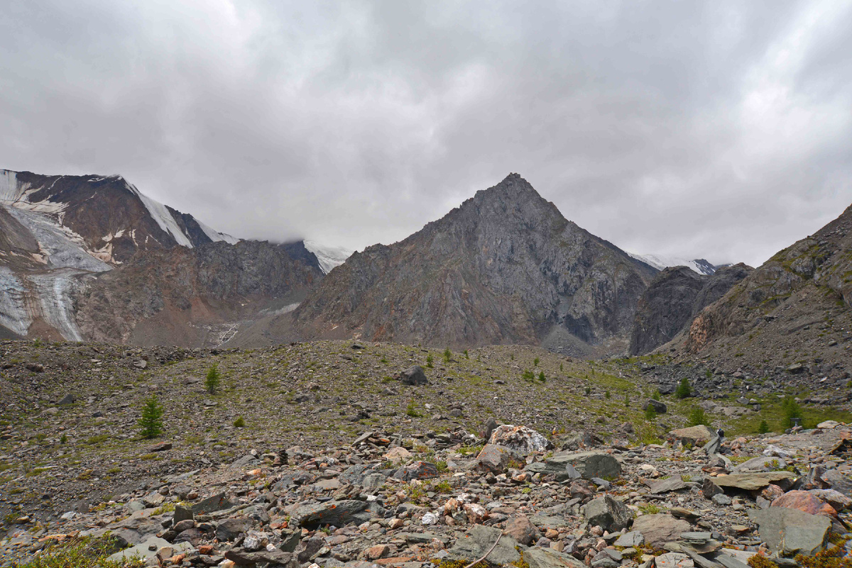 Фото Ольга Шадрина