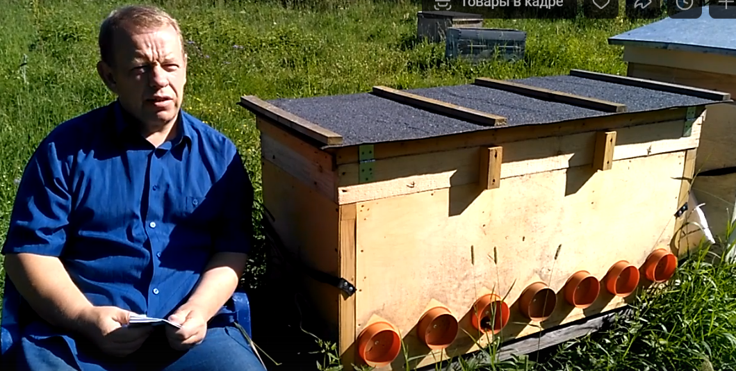 Сижу мечтаю, чтобы пчёлы сами естественно несли мне мёд 