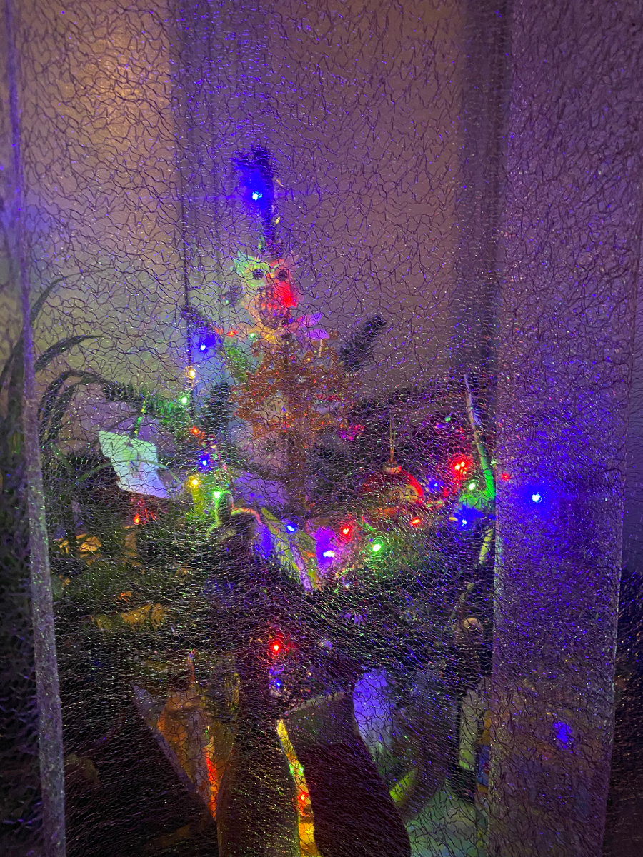 Елочка, гори!