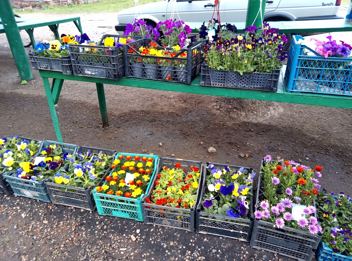 один из наших рынков