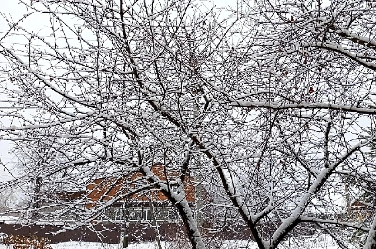    Жителям Новосибирска рассказали о запретах в День зимнего солнцестояния