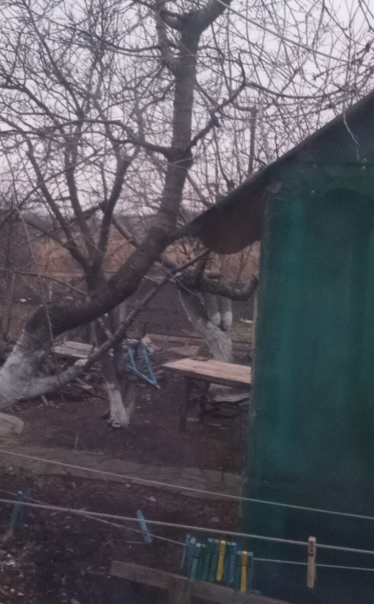 Снега нет, за окном ещё темнее.