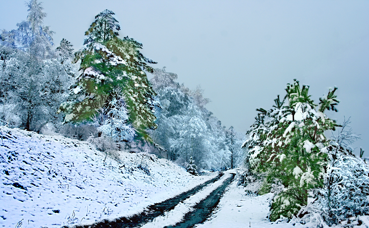 Фотография, стихотворение Василия Глуцкого