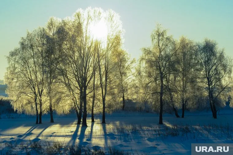 После зимнего солнцестояния начнется увеличение длительности дня
Фото: Вадим Ахметов © URA.RU