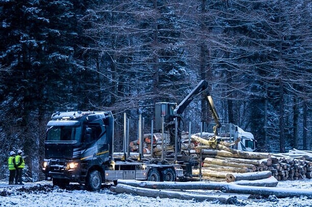 Фото из Яндекса 