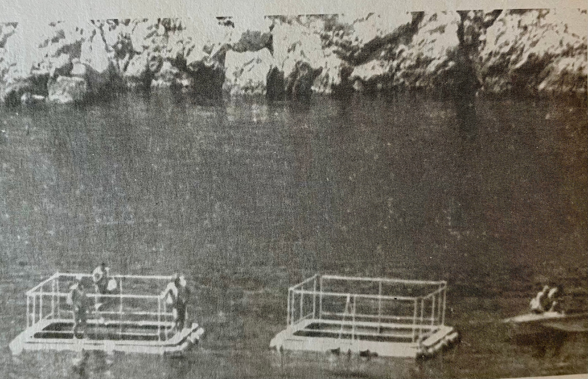 Транспортировка клетей с дельфинами