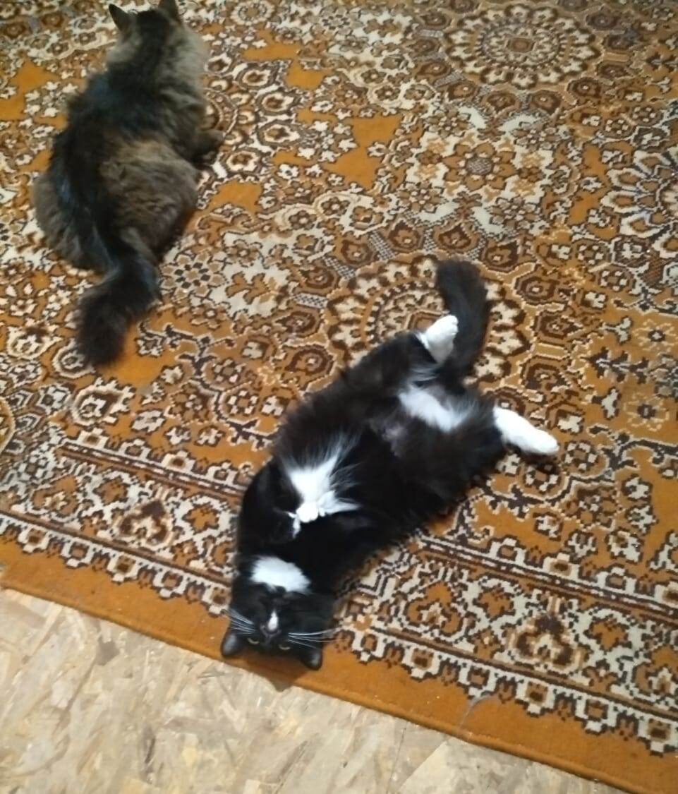 Люся и Катя