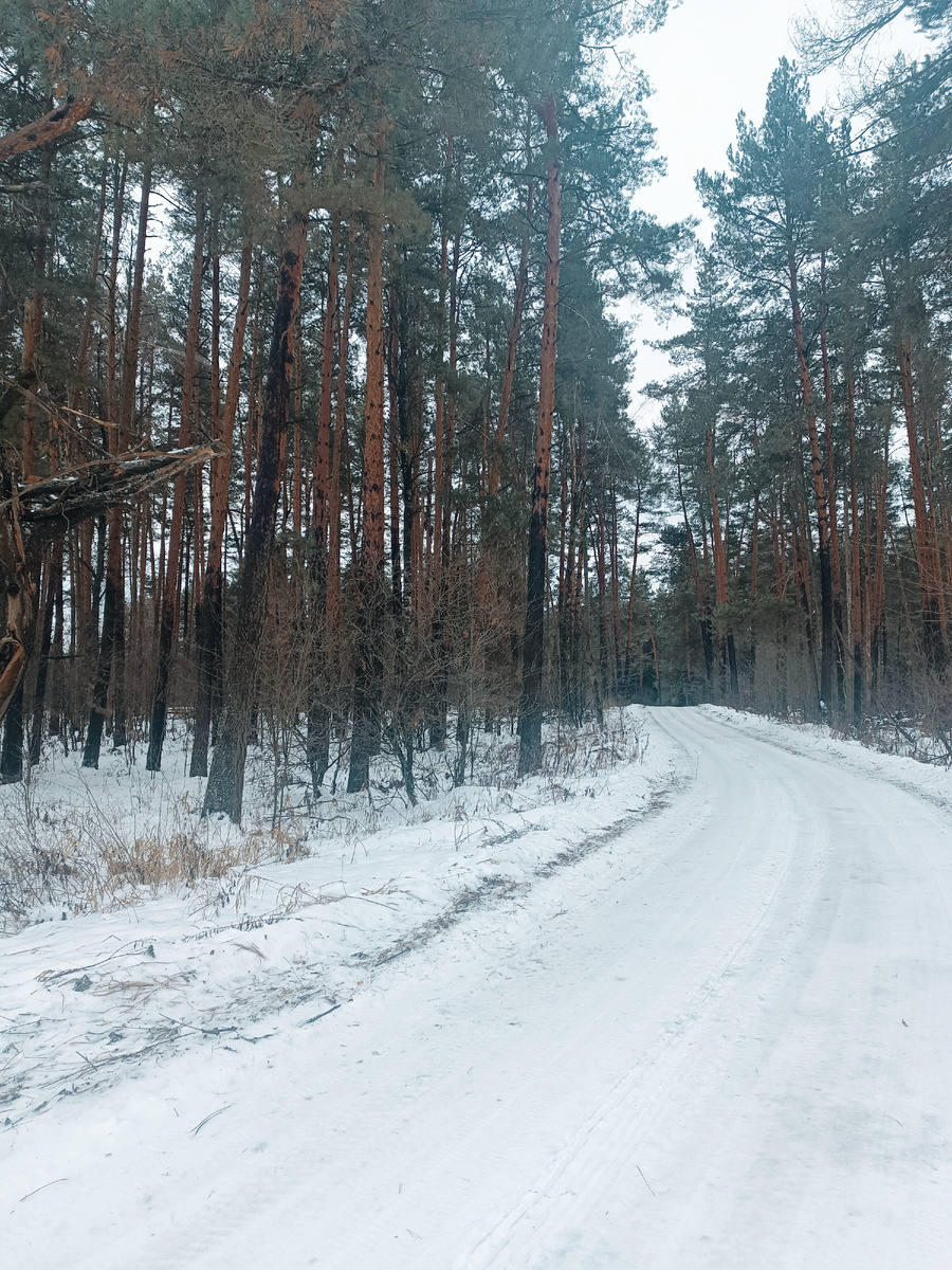 Это сегодня