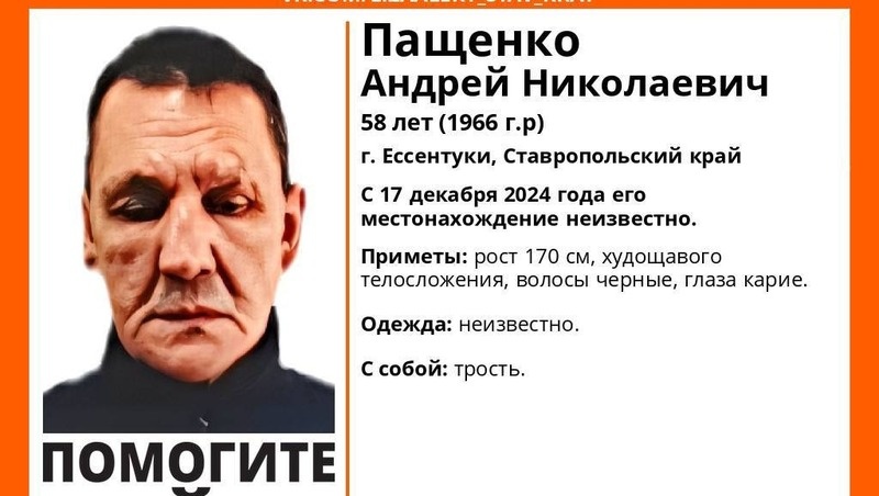      Фото: ПСО «ЛизаАлерт»