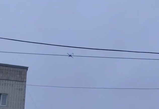    Фото: соцсети