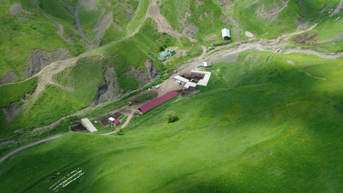 Пасека Экофермы Кунцалу находится на уровне 2100 м.