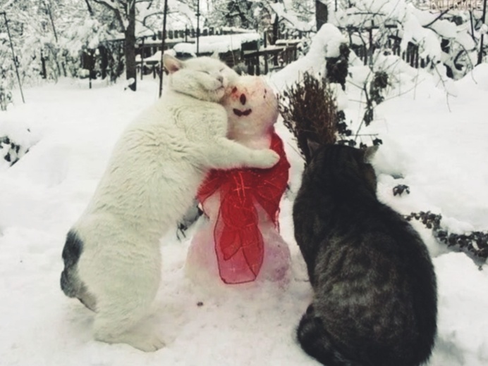 Сфоткай так меня быстрее и помчимся к батарее