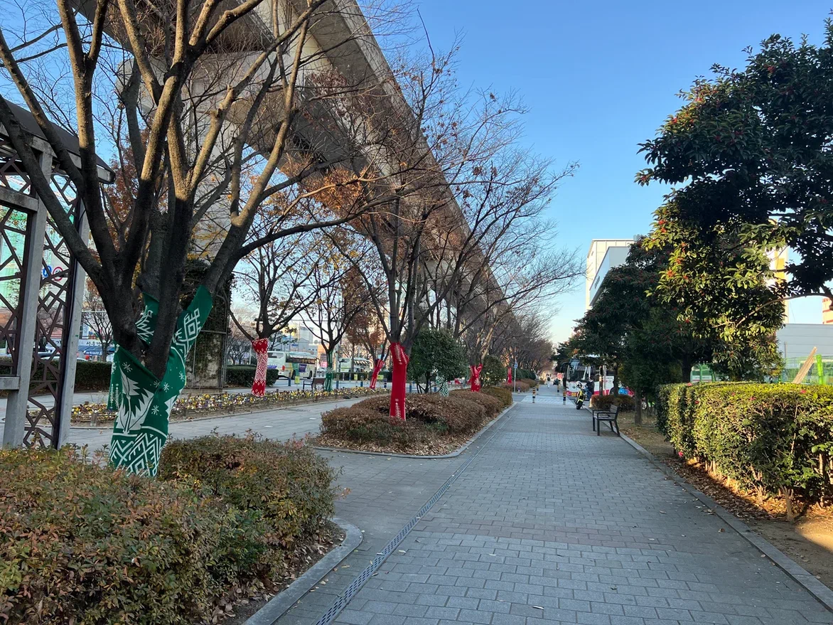Дорога к автовокзалу. Деревья заботливо одеты в цветные свитера. Фото автора