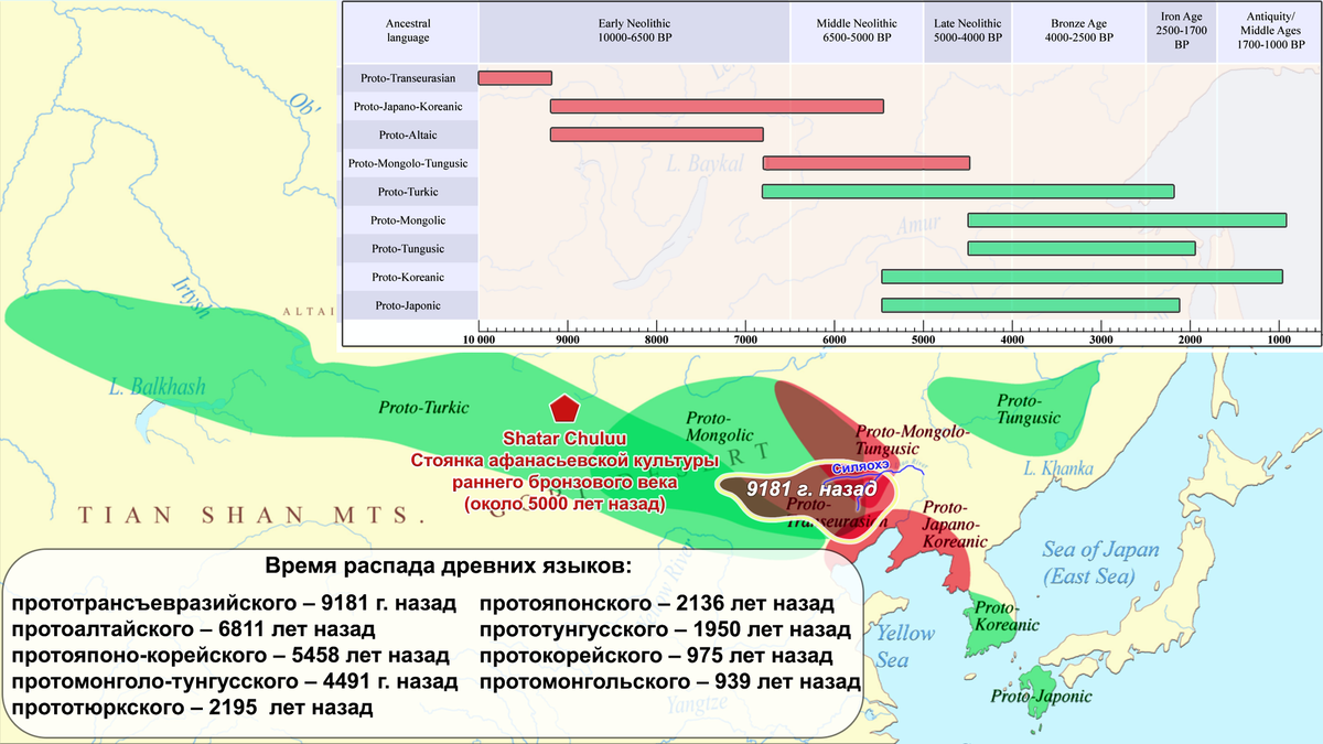 Алтайские языки