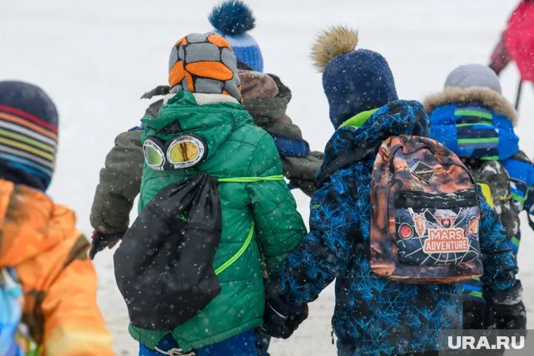 Пермским школьникам на Новый год подарят дневники здоровья
Фото: Илья Московец © URA.RU