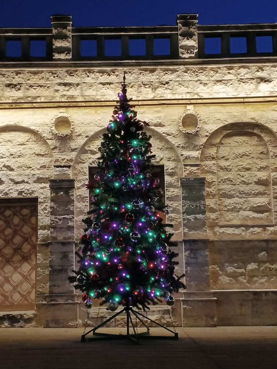 Ёлка возле купеческой синагоги в Евпатории. Фото Галины Малшыевой.