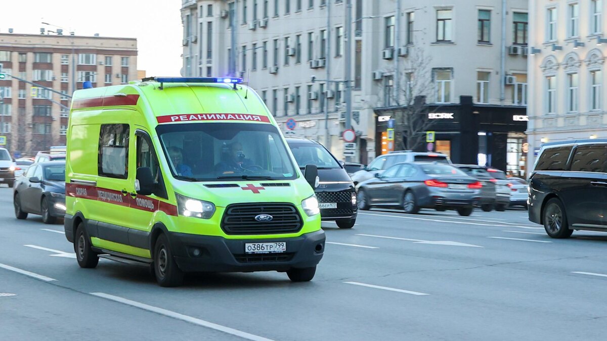    Фото: Petrov Sergey/globallookpress.com