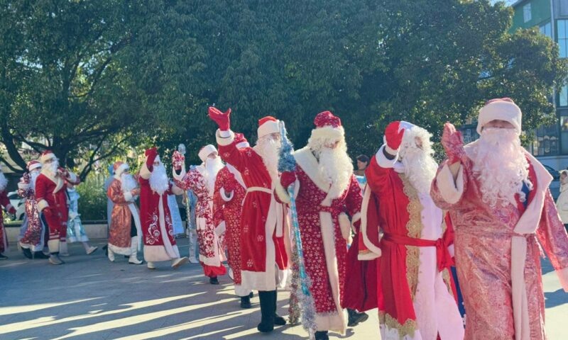    Фото пресс-службы администрации Сочи