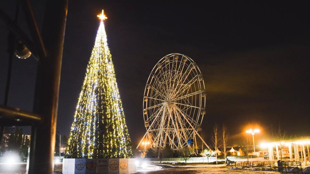     Источник: novostivolgograda.ru