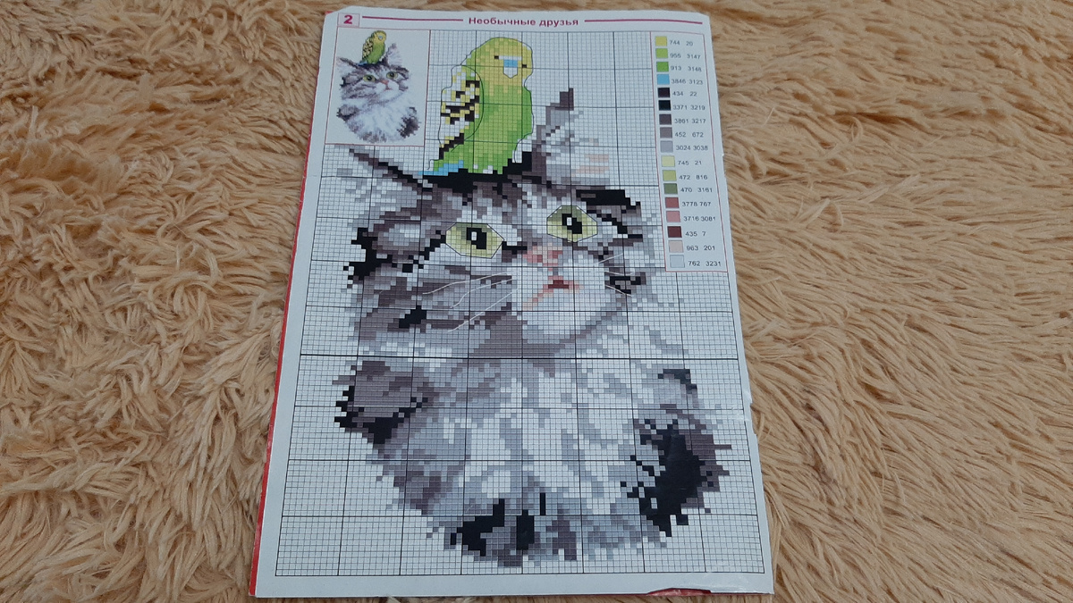 Наши любимые питомцы. Такие разные и такие милые