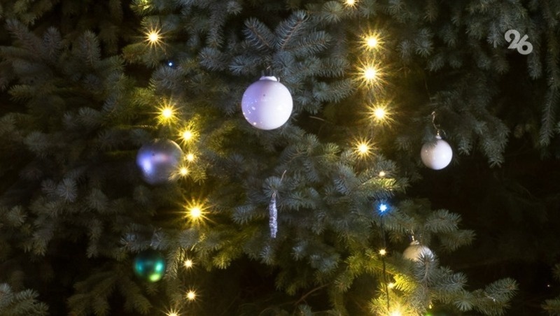      Фото: ИА «Победа26»