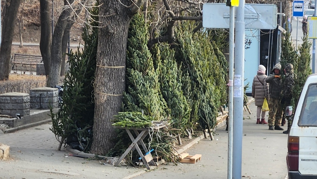     Источник: vostokmedia.com