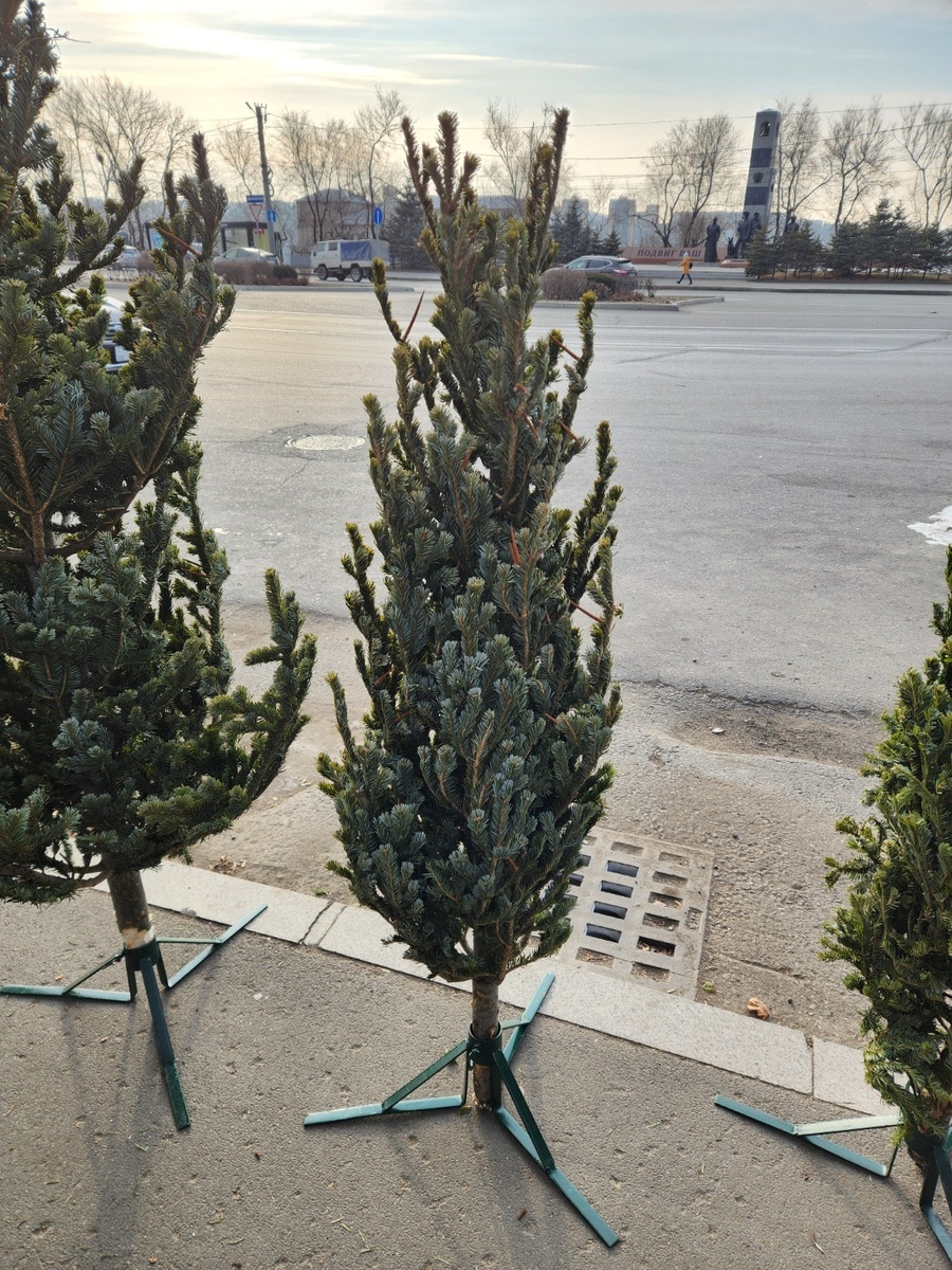     Источник: vostokmedia.com