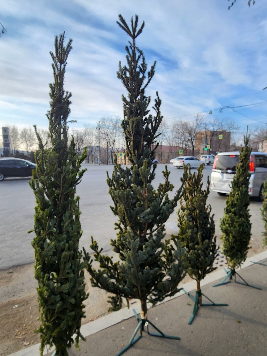     Источник: vostokmedia.com