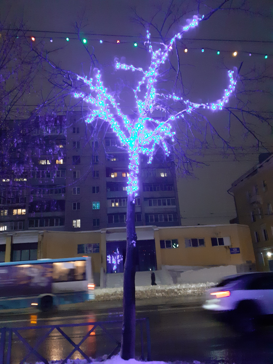 Вот так украсили дерево