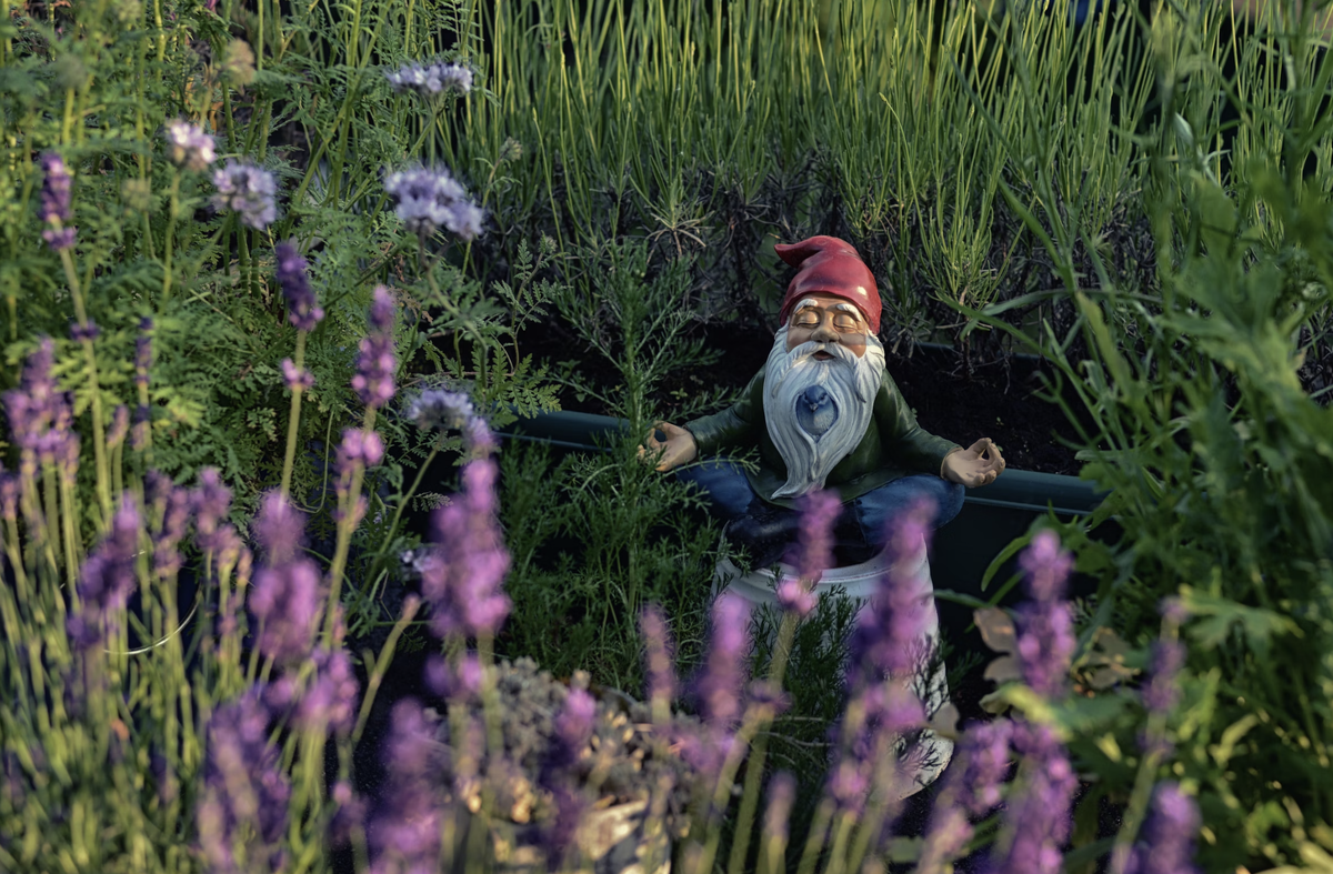 А гном показывает как