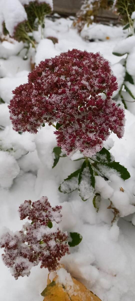 Фото автора канала