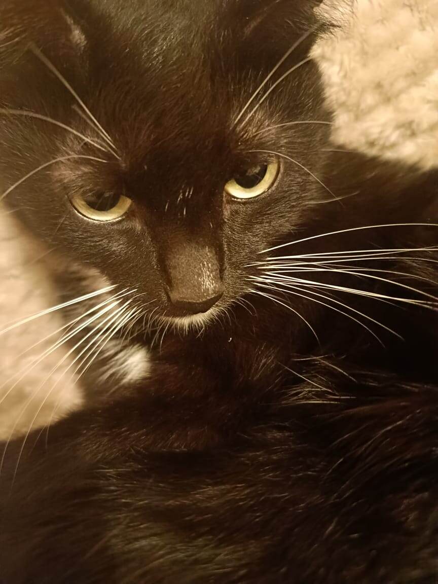       Вот примерно такой взгляд у женщины , после трудового рабочего дня и понимания, что ещё нужно приготовить покушать, посмотреть что по урокам у ребёнка в школе, прибраться дома, а когда  заниматься спортом, собой и в целом расслабиться??? 