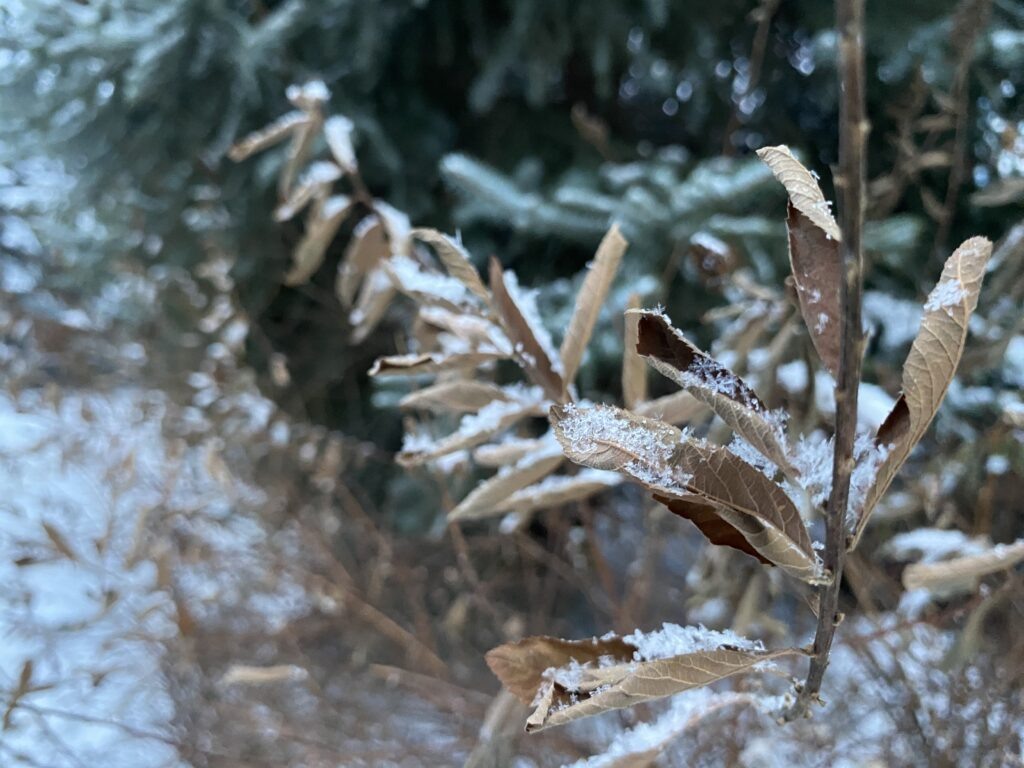    Фото: Кристина Шестакова для «В курсе.ру» Ольга Гилёва