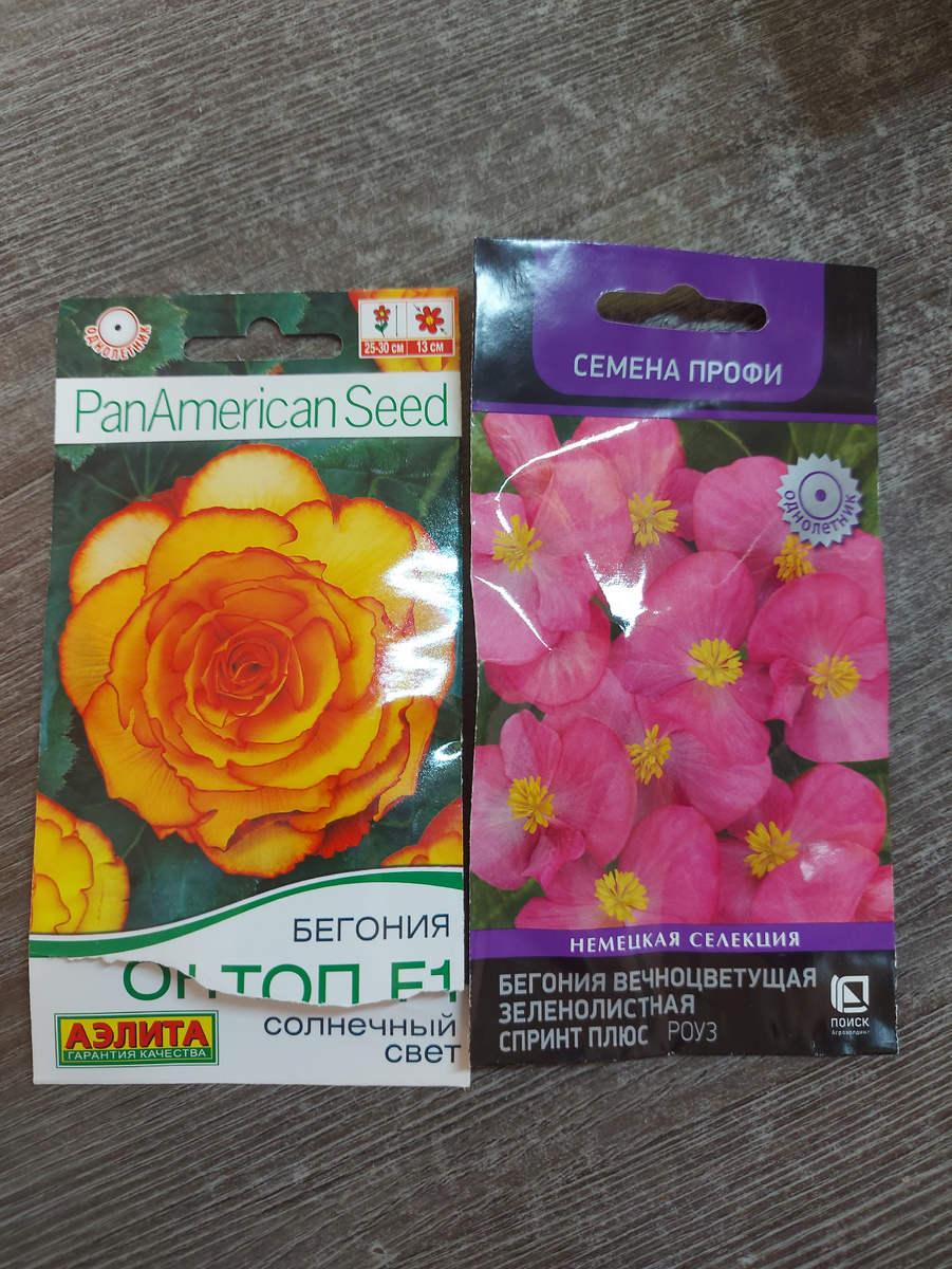 Эти мои семена, первый опыт