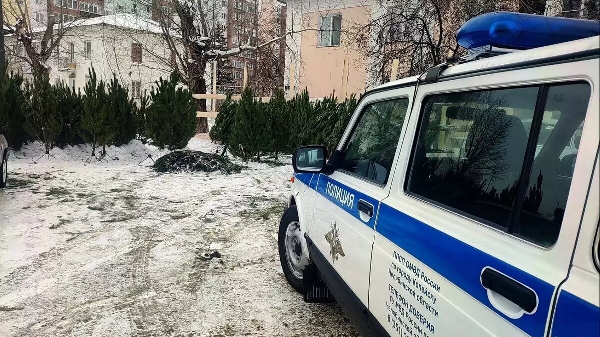     Источник: ГУ МВД по Челябинской области