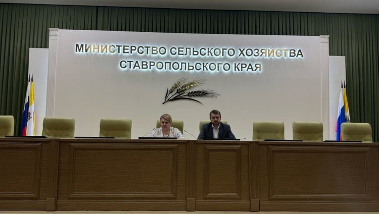    В основе современных садов Ставрополья - экономическая и экологическая устойчивости