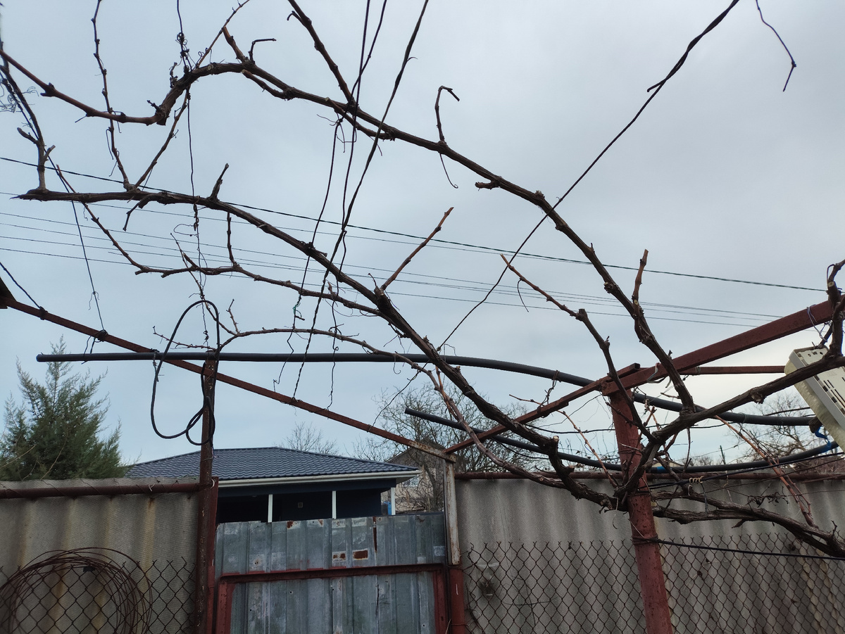 Теперь красота