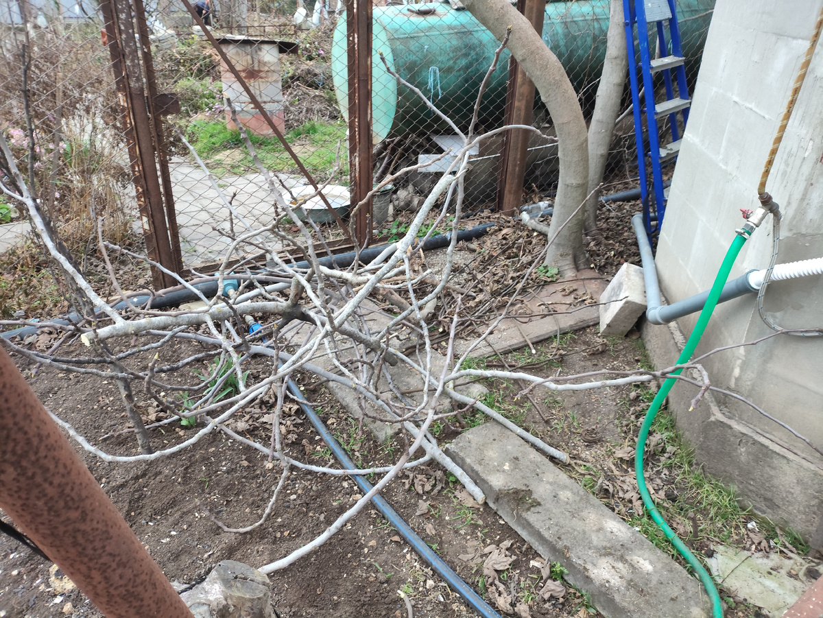 И это ещё не всё