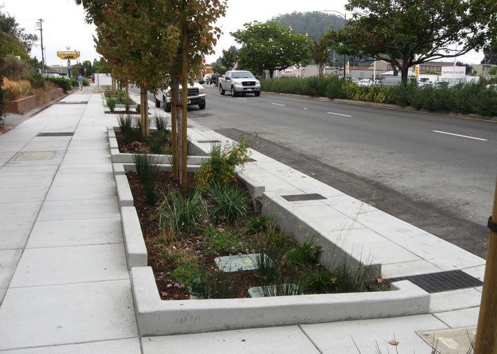 Дождевые сады (Фото: Единый институт пространственного планирования РФ)