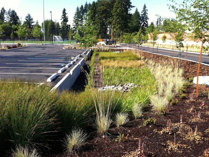 Дождевые сады (Фото: Единый институт пространственного планирования РФ)