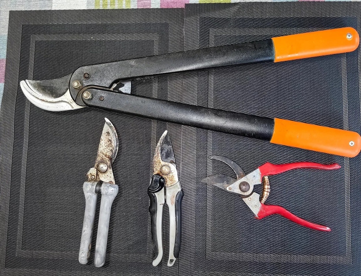 Секатору с серыми рукоятками (слева в нижнем ряду) уже более 50-ти лет. Фото автора  