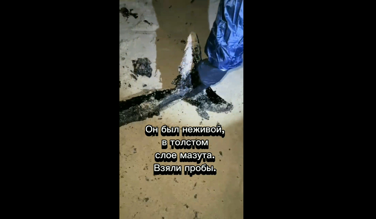 2 ее но это. 2 ее но это