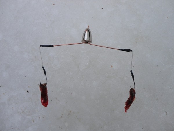 Фото с сайта: https://otvet.imgsmail.ru/download/ad5352f84a41711fd7344da50e59b454_i-8361.jpg