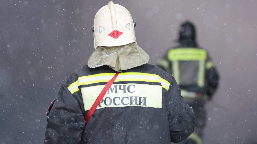    © Belkin Alexey news.ru/Globallookpress