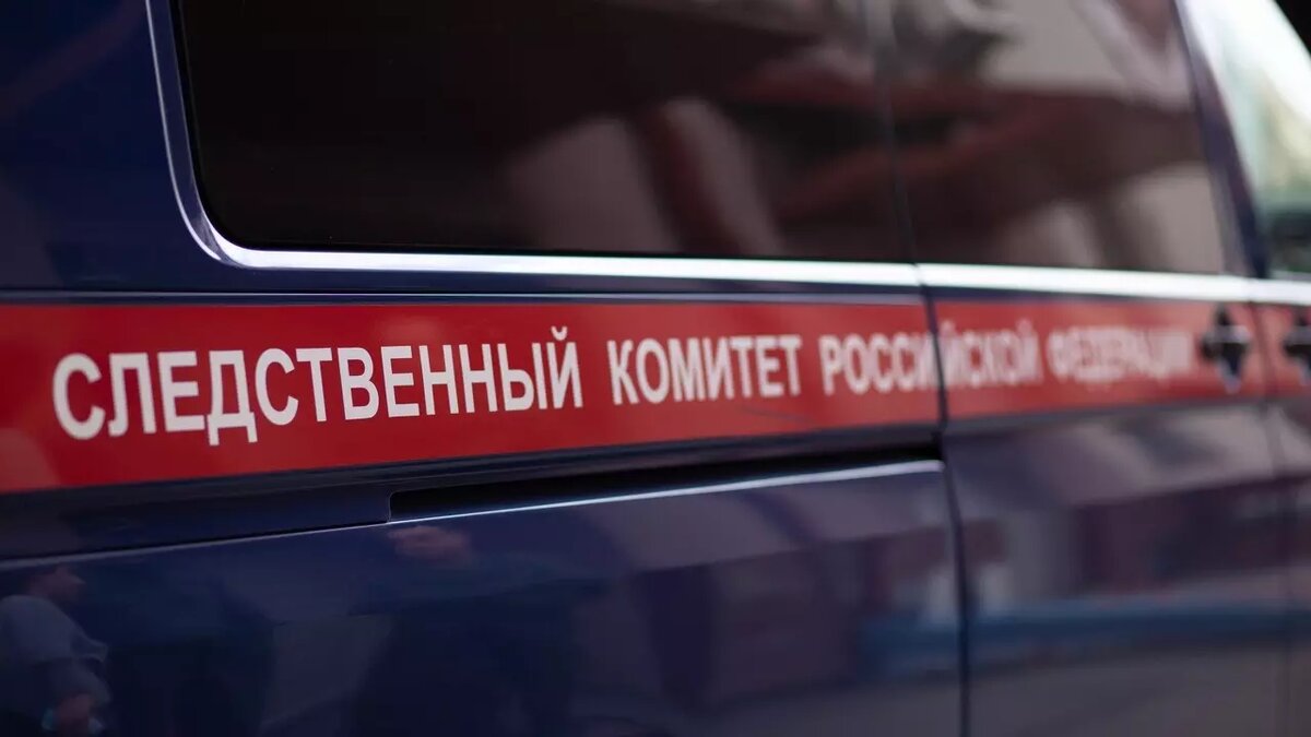     Источник: СК РФ